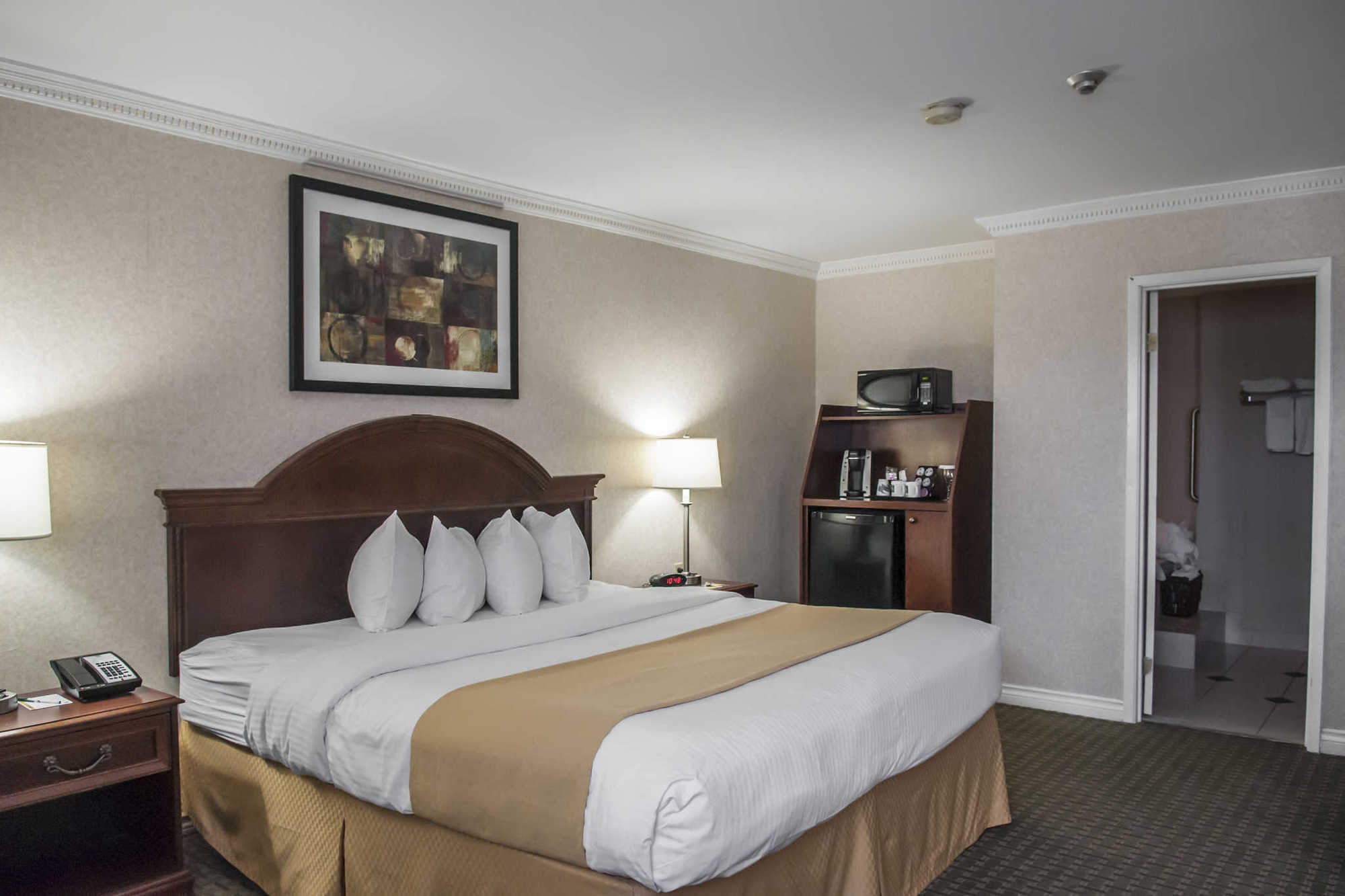 Quality Inn Airport West Mississauga Quarto foto